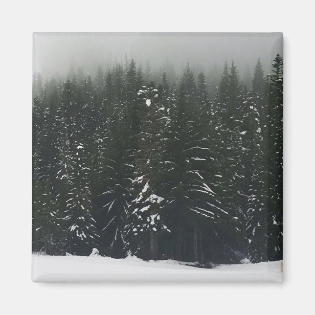 Imã Inverno na Floresta das Montanhas, Oregon (Frente)