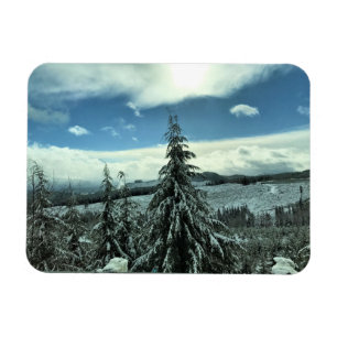 Ímã Inverno na Floresta Estadual de Tillamook, Oregon