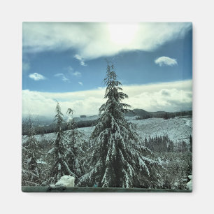 Imã Inverno na Floresta Estadual de Tillamook, Oregon