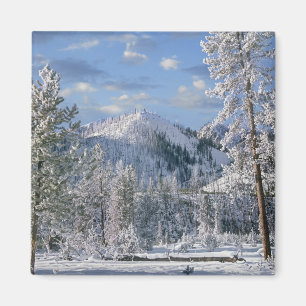 Imã Inverno no Parque Nacional de Yellowstone, Wyoming