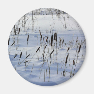 Imã Inverno no Quebec, Canadá