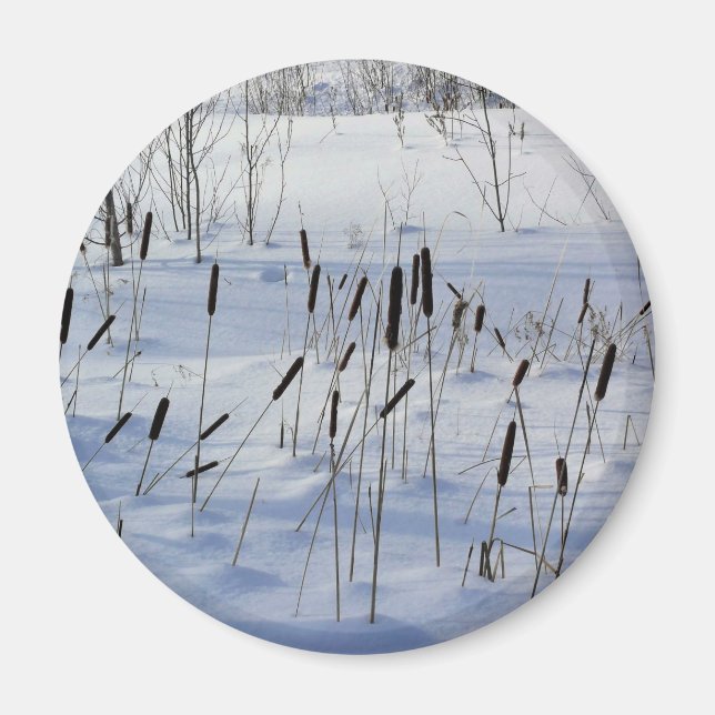 Imã Inverno no Quebec, Canadá (Frente)