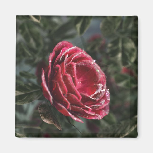 Imã Inverno para presentes (Frente)