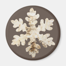 Inverno Russo Floco de neve Birchwood castanho