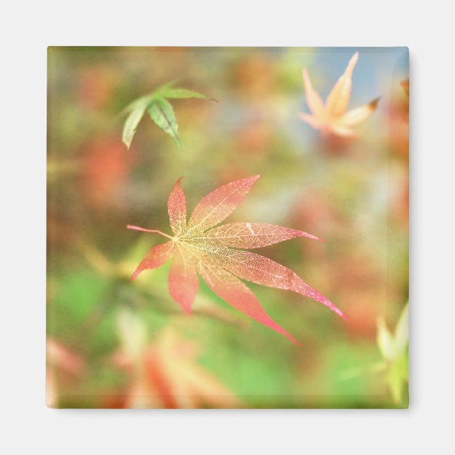 Imã Inverter Magneta (Frente)