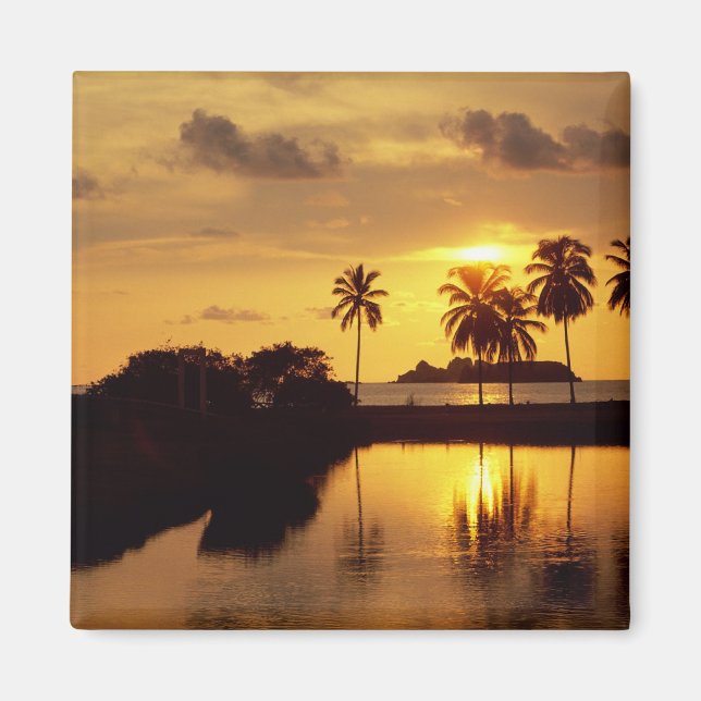 Imã Inxtapa Sunset (Frente)