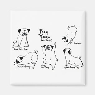 Imã Ioga do Pug