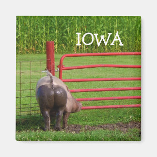 Imã Iowa Magnet