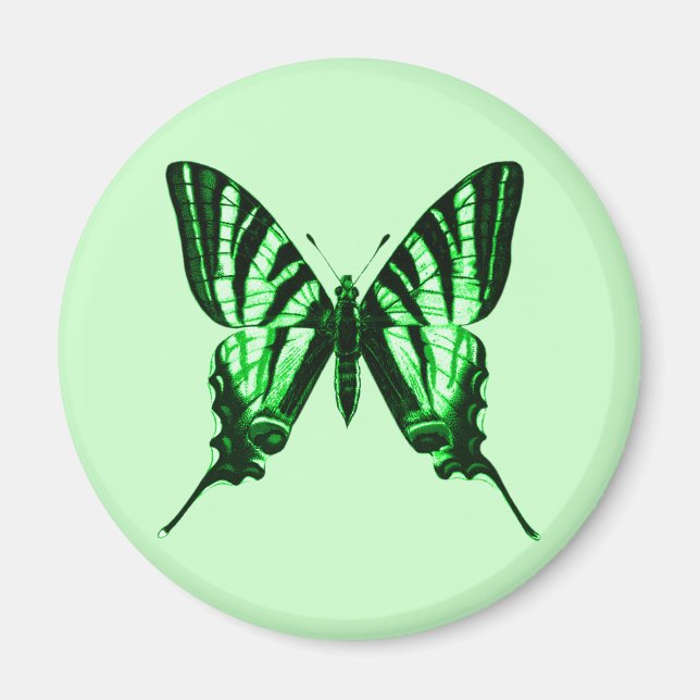 Imã Iphiclides podalirius Magnet (Frente)