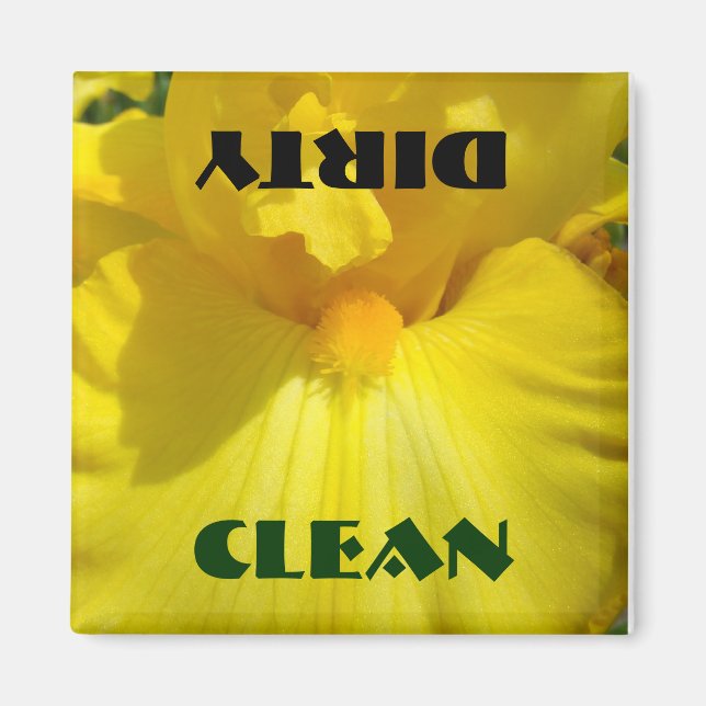 Imã Íris Amarelo Amarelo Flores de Lâmpadas Sujas Limp (Frente)