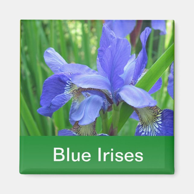 Imã íris azuis e folhas verdes (Frente)