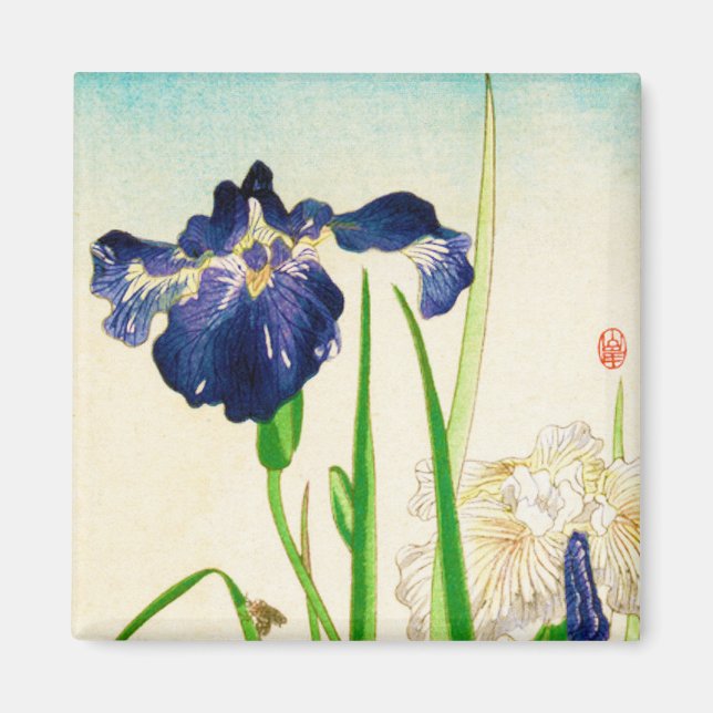 Imã Íris azul - impressão de aquarela japonesa (Frente)