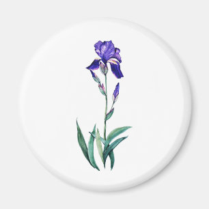 Imã Íris Azul por PMACarlson