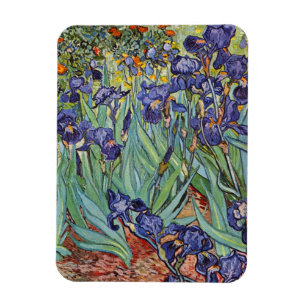 Ímã Íris de Van Gogh Pintura Impressionista