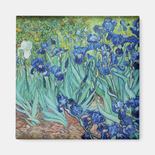 Imã Íris de Vincent van Gogh