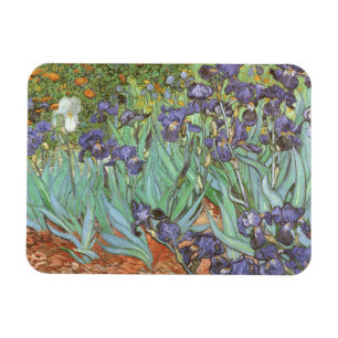Ímã Íris de Vincent van Gogh