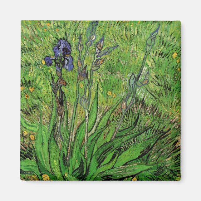 Imã Íris de Vincent van Gogh, Flores de Jardim Antigas (Frente)
