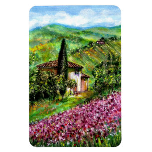 ÍMÃ ÍRIS EM TOSCÂNIA