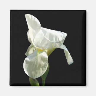 Imã Íris Flor Magnet