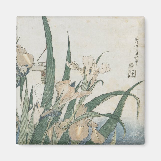Imã Iris Flowers and Grafopper, c.1830-31 (Frente)