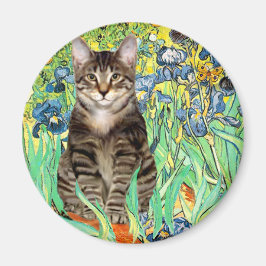 Imã Íris - gato tigrado 30