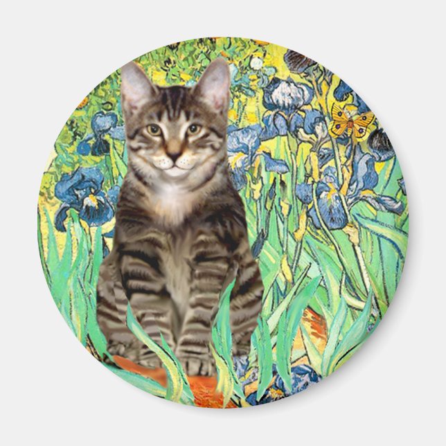Imã Íris - gato tigrado 30 (Frente)