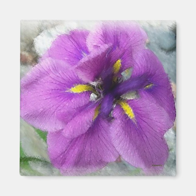 Imã Iris II (Frente)