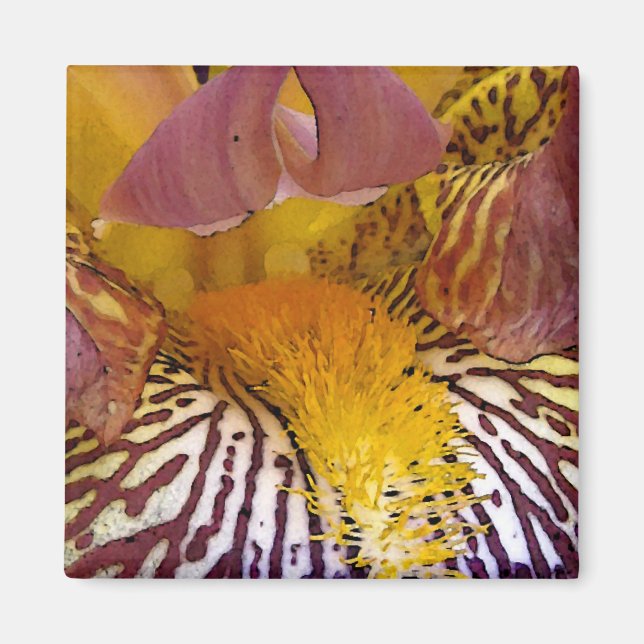 Imã Íris íntima (Frente)