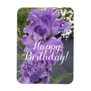 Ímã Iris Irisa Cartão de Aniversário Floral Flor Roxo