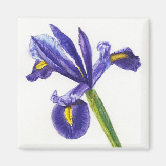 Imã Iris Magnet