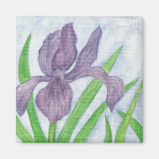 Imã Iris Magnet (Frente)