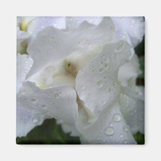 Imã Íris (magneta)