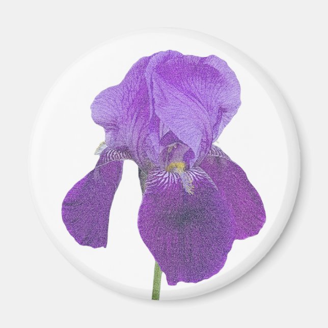 Imã Íris Roxo (Frente)