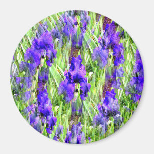 Imã Iris Twirl.....