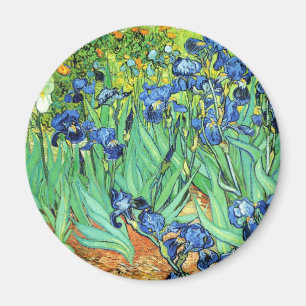 Imã Íris - Vincent van Gogh (1889)