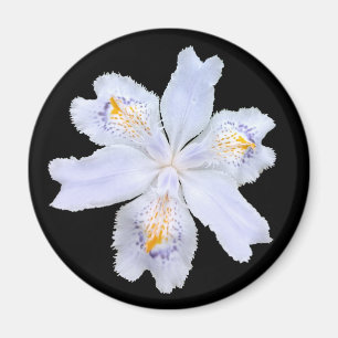 Imã Iris White