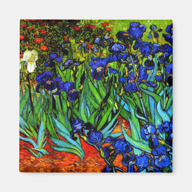 Imã Irises, a famosa pintura floral de Van Gogh (Frente)