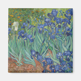 Imã Irises by Vincent Van Gogh