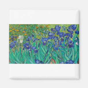 Imã Írises de Vincent van Gogh