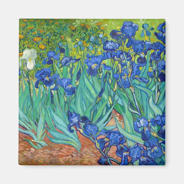 Imã Irises, Vincent van Gogh (Frente)