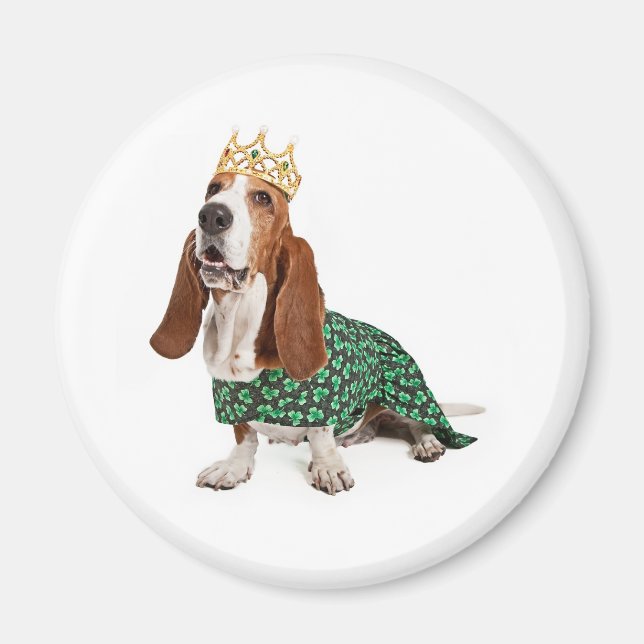 Imã Irish Princess Basset (Frente)