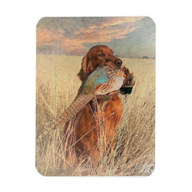 Ímã Irish Setter com faisão (Vertical)