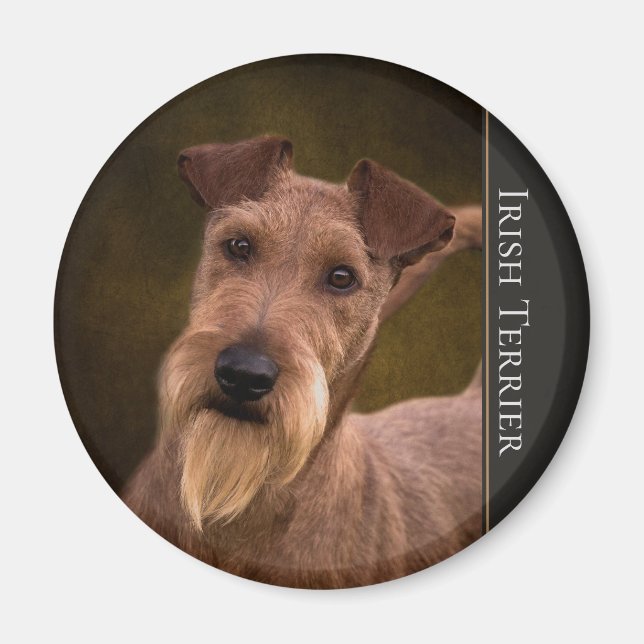 Imã Irish Terrier Magnet (Frente)