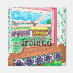 Imã Irlanda