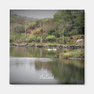 Imã Irlanda, County Cork, Lake, Swans, Fotografia