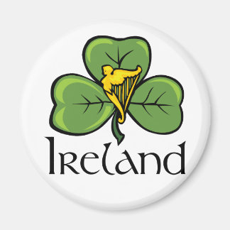 Imã Irlanda Shamrock and Harp