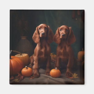 Imã Irlandês Red Setter Puppy Autumn Delight Pumpkin