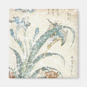 Imã Irlandeses e Kingfisher