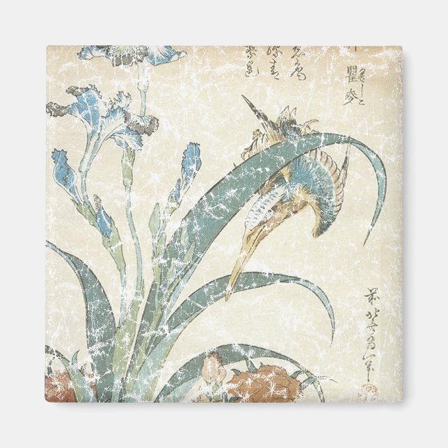 Imã Irlandeses e Kingfisher (Frente)