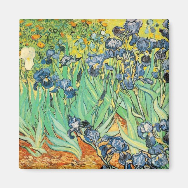 Imã Irlandeses - Van Gogh - c1889 (Frente)